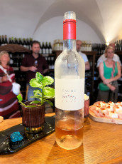 27.7.2022 - Exotické Slovinsko - Země malých vinařů